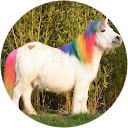 Iris Sommerfeld Iris Sommerfeld